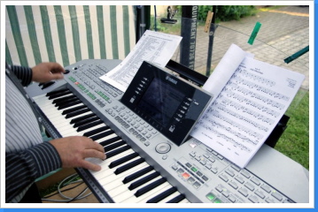 Einblicke in die Tastenwelt Einblicke in die Tastenwelt